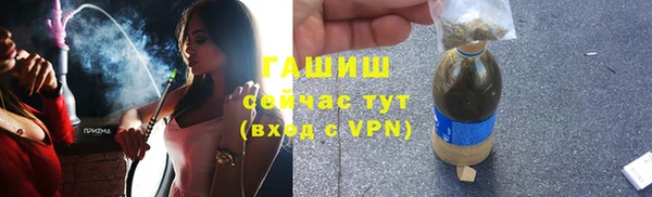 стафф Елизово