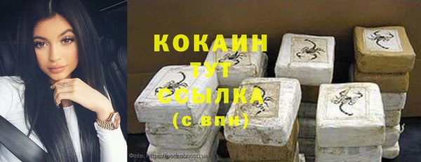 стафф Елизово