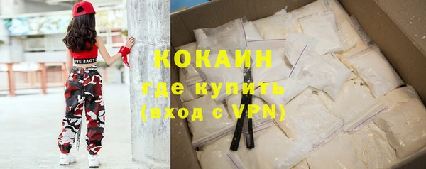 крисы Ельня