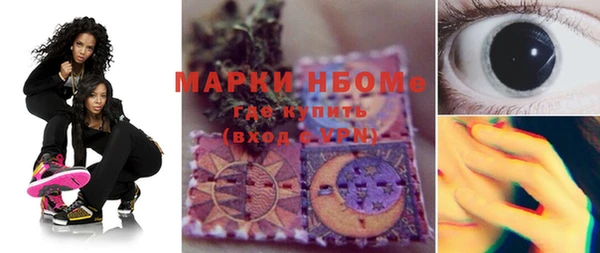 крисы Ельня