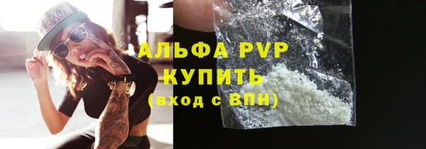 крисы Ельня