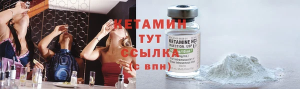 крисы Ельня