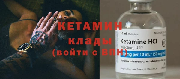 крисы Ельня