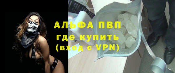 стафф Елизово