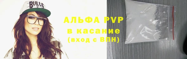 крисы Ельня