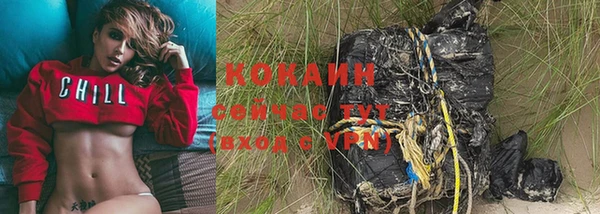 стафф Елизово