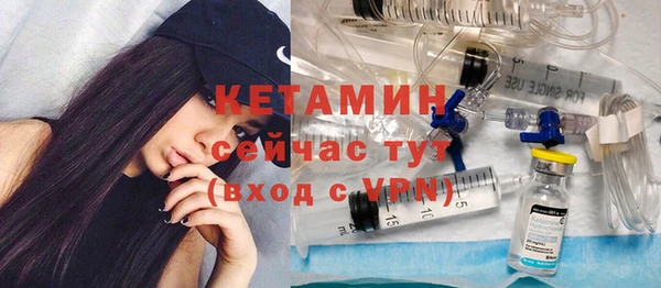 крисы Ельня