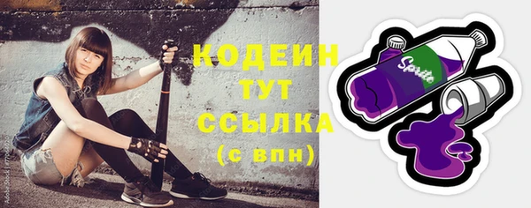 крисы Ельня