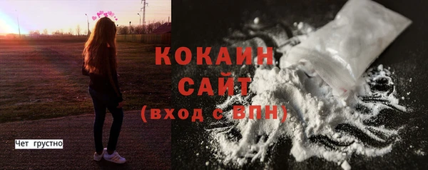 стафф Елизово