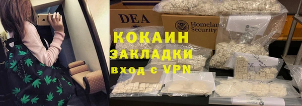 крисы Ельня