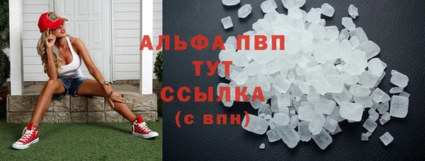 крисы Ельня