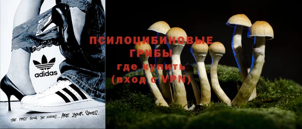 стафф Елизово