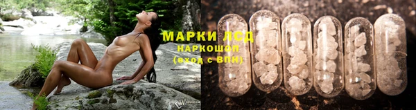крисы Ельня